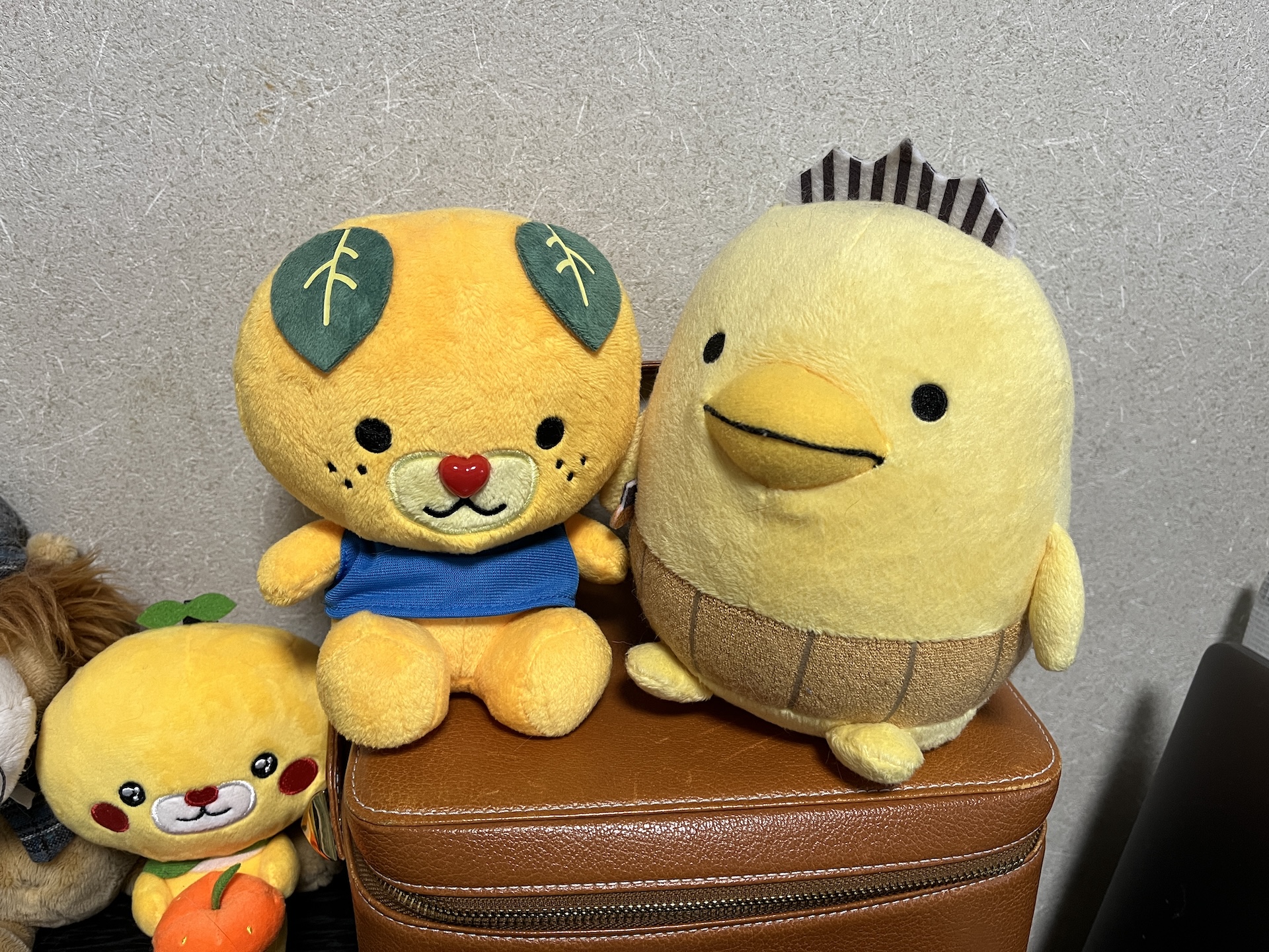 iPhone 13 mini カメラ
