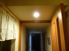 LED電球と白熱電球の明るさ比較（LED)