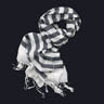 AoN LbY XJ[t striped scarves