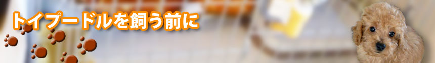 gCv[h̎E@̌L | UƎЌ𐫁EhbOEybgzeE