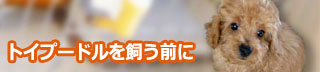 gCv[h̎E@̌L | UƎЌ𐫁EhbOEybgzeE